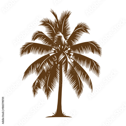 Vintage Brown palm tree silhouette on white background  tropical tree with long leaves and trunk