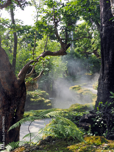 Jungle forest with tropical trees Adventure background
