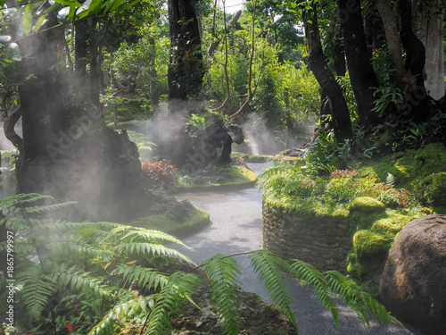 Jungle forest with tropical trees Adventure background