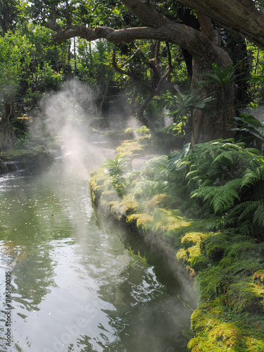 wild green fern leaves in tropical waterfall rainforest nature background