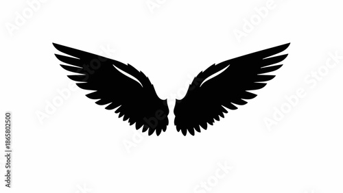 Striking black angel wings spread wide against a clean white background