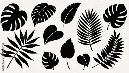 Collection of diverse tropical plant leaves in simple black silhouette style