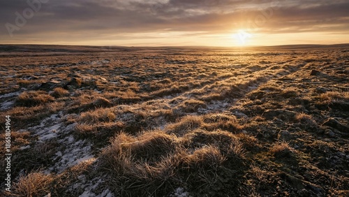 Nordic landscape featuring a frosty field with dry grass at sunrise. Scenic view of winter nature for travel and wilderness exploration.