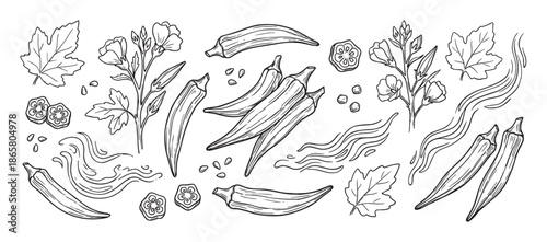 Hand drawn okra vegetable set with pods, slices, flowers, and leaves in a detailed black and white botanical sketch style for culinary and agricultural concepts