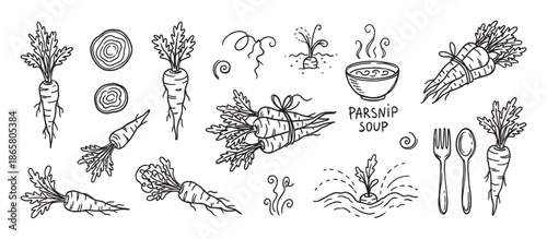 Hand-drawn parsnip vegetable doodle illustration set with whole roots, slices, a bunch, and a plant growing in the ground, including a bowl of hot soup and cutlery