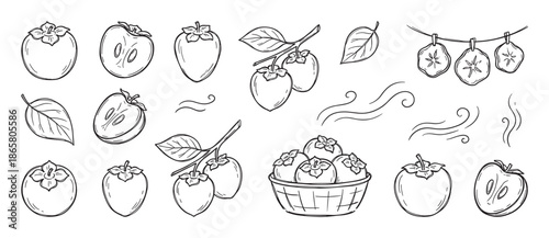 Hand-drawn persimmon fruit doodle collection set showing whole, sliced, and dried fruits with leaves, branches, and a basket in a simple black and white line art sketch style