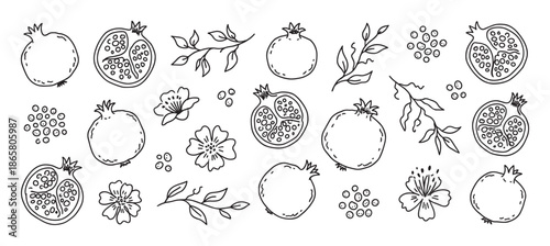 Pomegranate fruit hand drawn illustration set with whole and sliced pomegranates, seeds, flowers, and leafy branches in a simple black and white line art doodle style