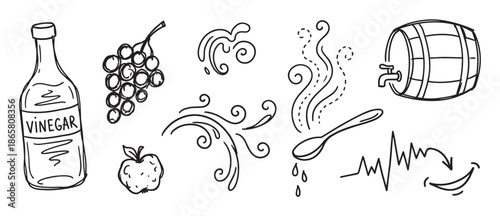 Hand-drawn vinegar and ingredients doodle set with a bottle, grapes, apple, and wooden barrel in a simple black and white sketch style for cooking and food concepts