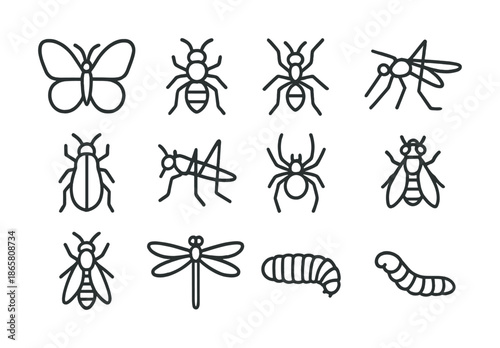 Insect icons collection: butterfly, ant, mosquito, beetle, spider, dragonfly, larva