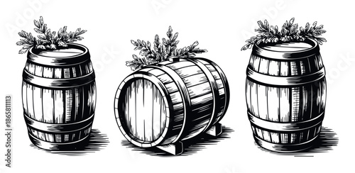 Hand drawn vintage wooden barrels adorned with leafy branches symbolizing rich tradition and aged spirits, ideal for brewery and winery branding or rustic themed events.