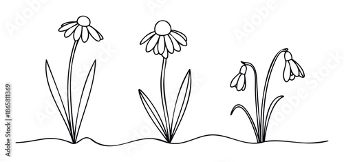 Simple outline drawing of three blooming flowers and two drooping snowdrops growing from a wavy ground line for childrens coloring books or naturethemed educational materials.