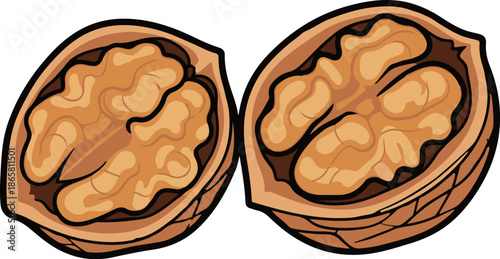 Two halves of a stylized walnut, showcasing its textured kernel and shell