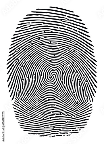 Authentic human fingerprint for security and identification concepts, ideal for technology, biometric authentication, criminal investigation, and personal privacy applications.