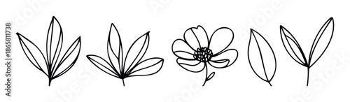 Minimalist outline collection of natural plant motifs like various leaves and a delicate flower, ideal for enhancing modern stationery, branding, and ecological presentations.