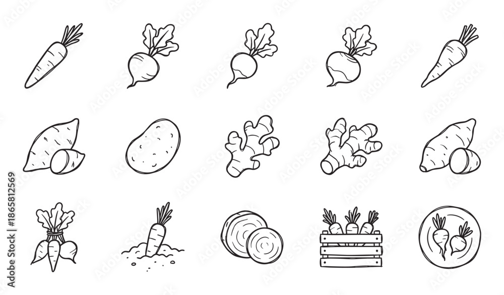Fototapeta premium Collection of hand-drawn root vegetable icons including carrots, radishes, potatoes, and ginger in a simple black and white doodle style for healthy food concepts