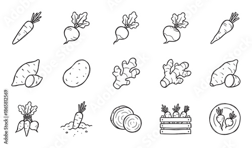 Collection of hand-drawn root vegetable icons including carrots, radishes, potatoes, and ginger in a simple black and white doodle style for healthy food concepts