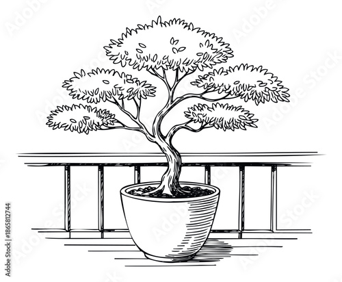 Hand drawn sketch of a potted tree on a balcony railing illustrating urban gardening and home decor perfect for lifestyle blogs and environmental graphic resources