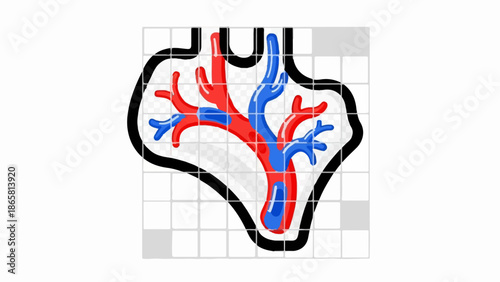 Abstract representation of interconnected red and blue branching vessels within a black outline