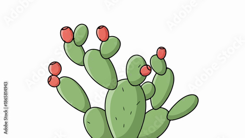 A green prickly pear cactus with red fruit, in a simple, flat illustration style