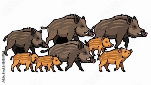 A group of wild boars and piglets walk together on a white background