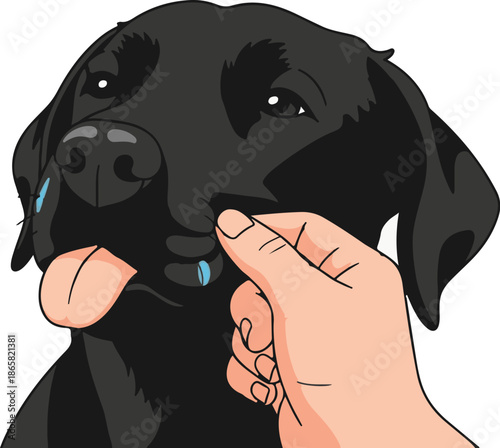 A human hand offers a treat to a happy black dog with its tongue out