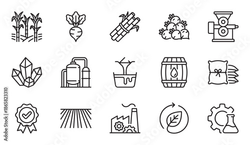 Set of black line icons illustrating sugar production from sugarcane and beet, including farming, factory refining, industrial processing, and final products like crystals and molasses