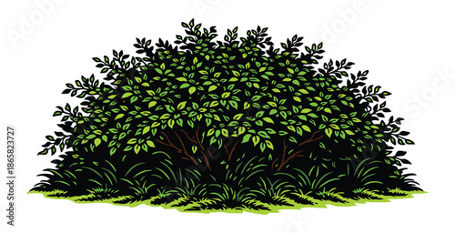 Lush green bush illustration with thick leaves and dark shadows