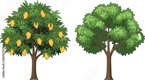 Ripe mango fruit tree and lush leafy green tree illustration with tropical foliage isolated on white natural agriculture concept