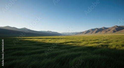 Vast grassy valley nestled between mountain ranges under a clear morning sky