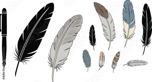 Rustic decorative feathers. Hand drawn vintage vector design set