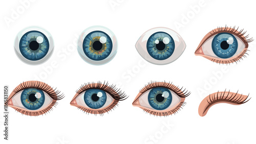Realistic blue eye set with eyebrows and lashes