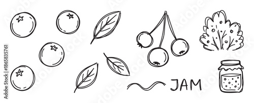 Hand-drawn black and white doodle set of berries, leaves, a bush, and a jar of homemade jam in a simple, cute sketch style for food and nature concepts