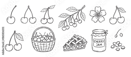 Hand-drawn cherry illustration set with various elements including fresh berries, a pie slice, jam jar, basket, flower, and branch in a charming black and white doodle sketch style