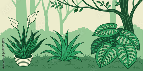 Assorted green plants are situated outdoors on grassy ground beneath a large tree canopy in a shaded forest area.