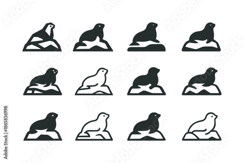 Arctic Seal Logos. Arctic. Icon set. Set Logo of Arctic: seal resting on snow mound. harmonious logo variations of the same emblematic concept, each with