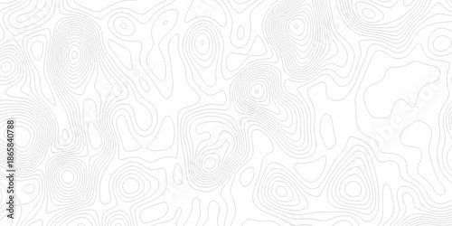 Minimal Lines Topographic contour lines grid map seamless pattern. Minimal Lines Topographic contour lines grid map seamless pattern. Background of the topography map with lines.