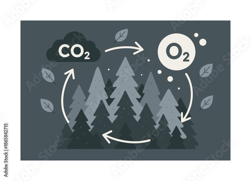 Forest Breathing Process. Forest lung effect. Dense forest canopy breathing in CO? clouds and exhaling O? bubbles; curved motion paths showing exchange.