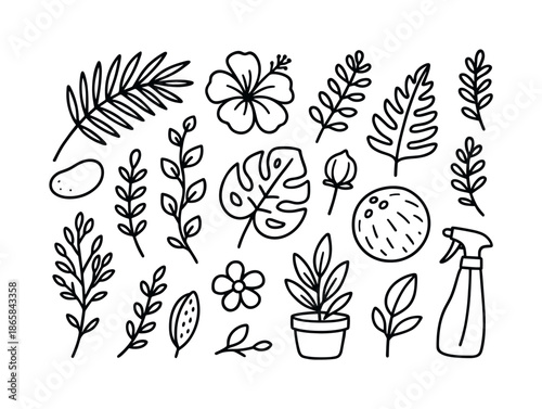 Tropical Plant Doodles. Tropical plants. Hand-drawn doodle illustration tropical plants palm leaf, fern frond, monstera leaf, hibiscus, vine, coconut, flower
