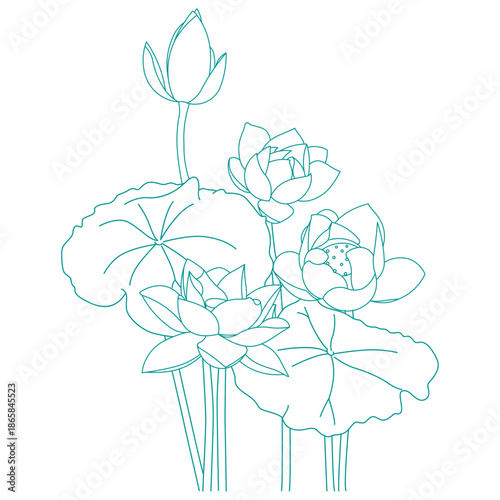 The Vietnamese lotus flower, also known as the national flower of Vietnam