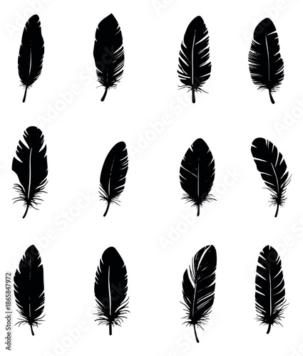 Hand drawn silhouette feather set featuring various distinct designs for design projects and decoration
