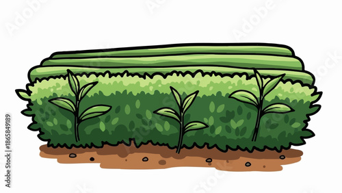 A stylized cartoon depicts a lush green hedge with sprouts growing in brown soil