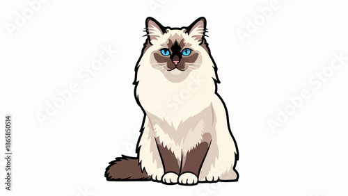 Adorable feline with striking blue eyes and fluffy cream and brown fur