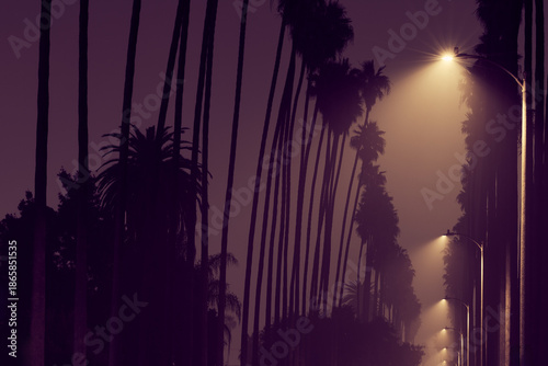 Palm Trees in a Row on Foogy Los Angeles Street