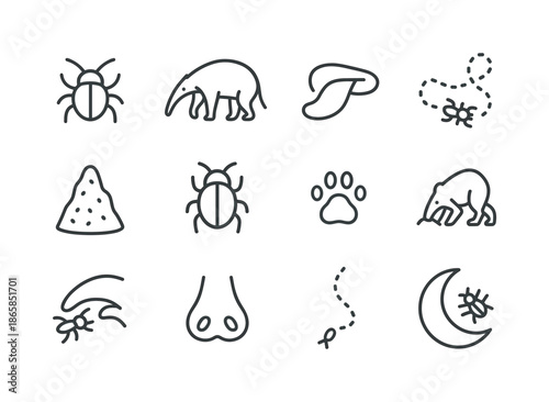 Insectivore Icons Grid. Insectivores. Line icon set of Insectivores: insect icon, anteater silhouette, tongue icon, ant trail, termite mound, beetle icon, tiny