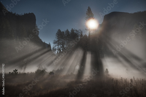 Moonlit Fog in Yosemite's Merced Meadow