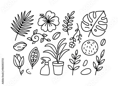 Tropical Plant Doodles. Tropical plants. Hand-drawn doodle illustration tropical plants palm leaf, fern frond, monstera leaf, hibiscus, vine, coconut, flower