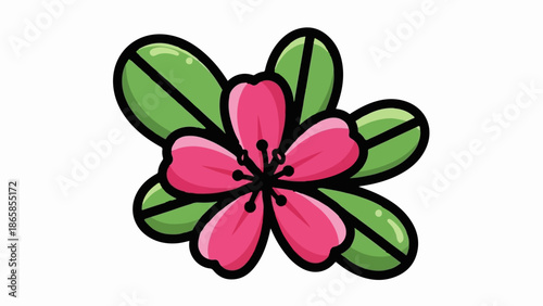 A vibrant pink flower with five petals and green leaves