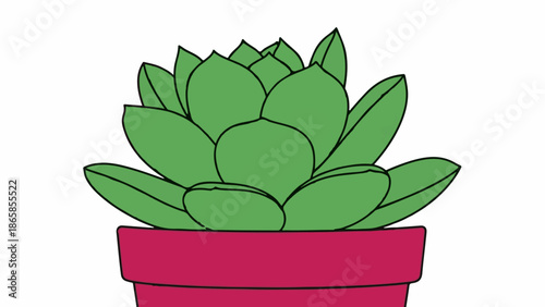 A simple illustration of a green succulent plant in a red pot