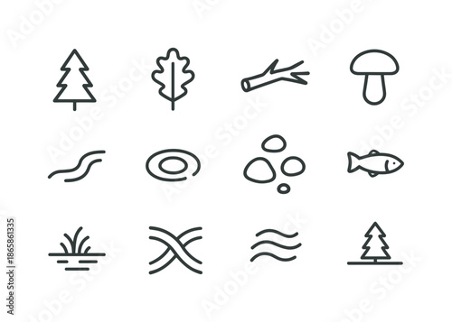 Forest Stream Icons. Forest stream. Line icon set of forest stream: pine tree, oak leaf, fallen branch, mushroom shape, water curve, ripple line, small stones,
