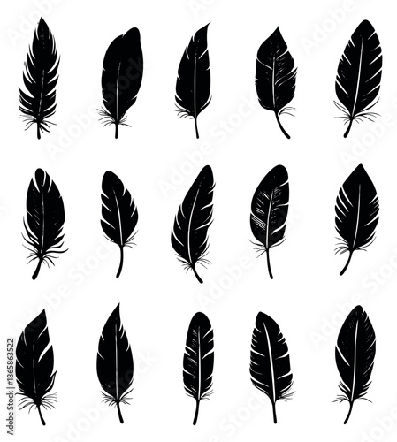 Hand drawn silhouette feather set featuring various natural plumes for decorative design